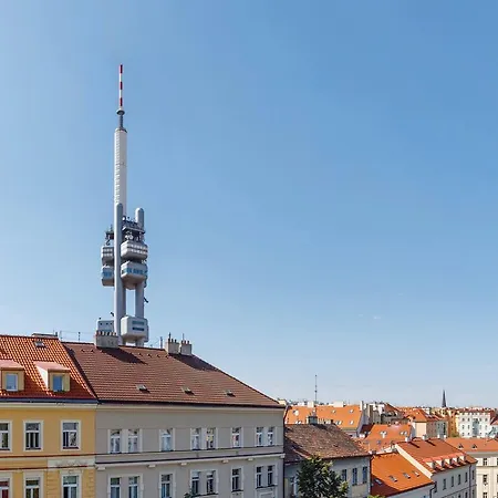 Vinohrad Praga